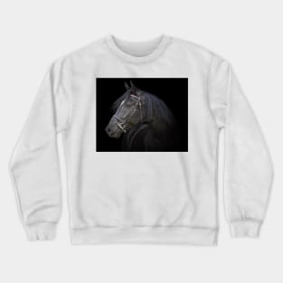 Denver Crewneck Sweatshirt